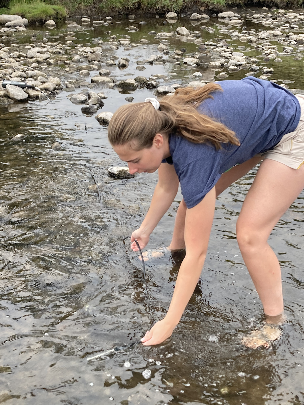 CREWS undergraduate intern Makenzy Gilsdorf places sampling equipment in the river