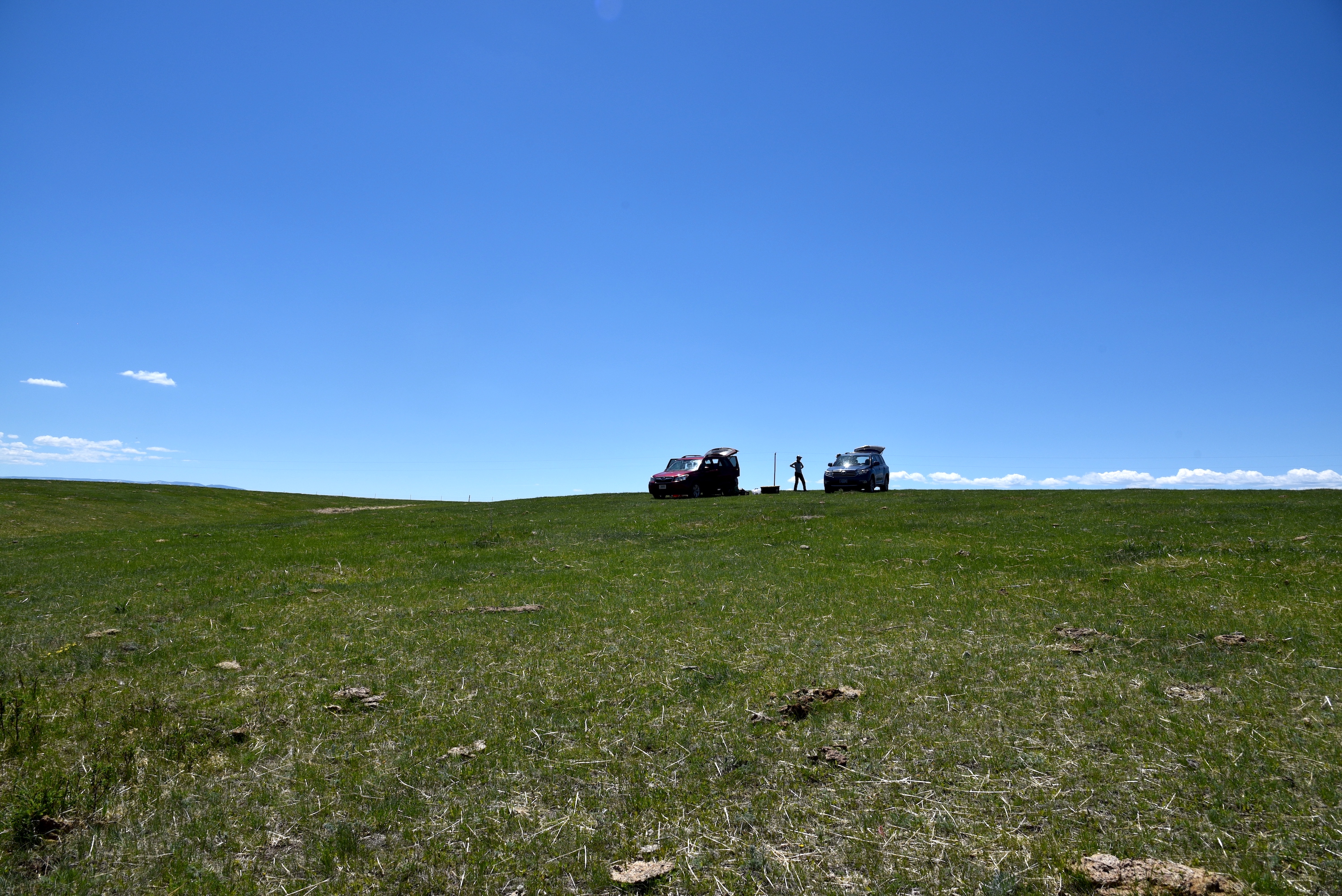 An individual stands at a field site in the Judith River Watershed