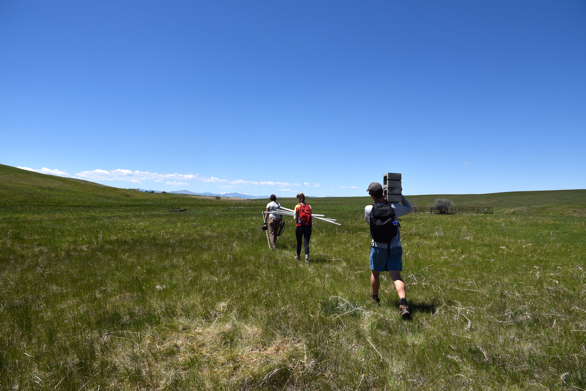 The CREWS JRW team carries materials into the field to install groundwater sampling wells