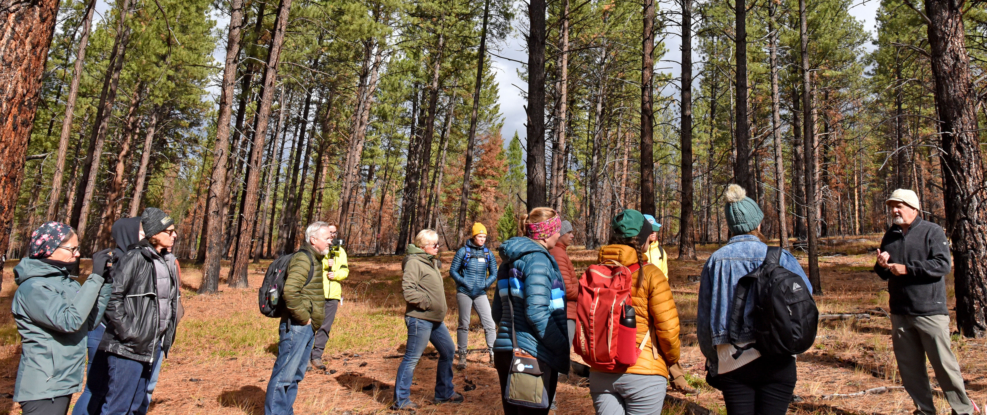 the educators attend a walking tour of Lubrecht Experimental Forest