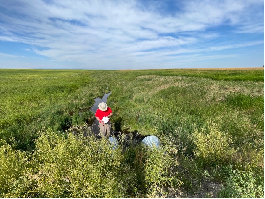 Picture of an individual working in the Judith River Watershed