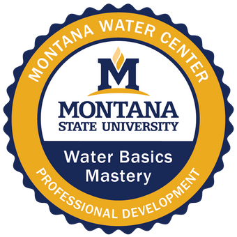 Image of Water Basic Mastery badge
