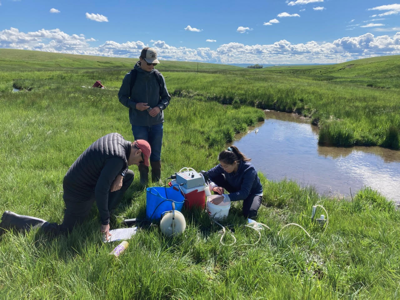 People in a field conducting research