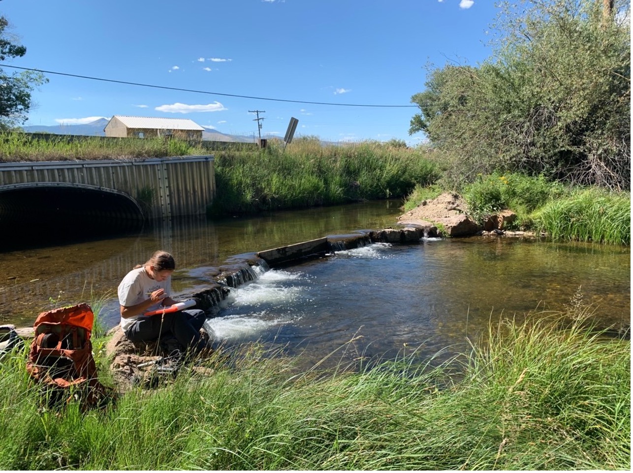 Researching near a stream