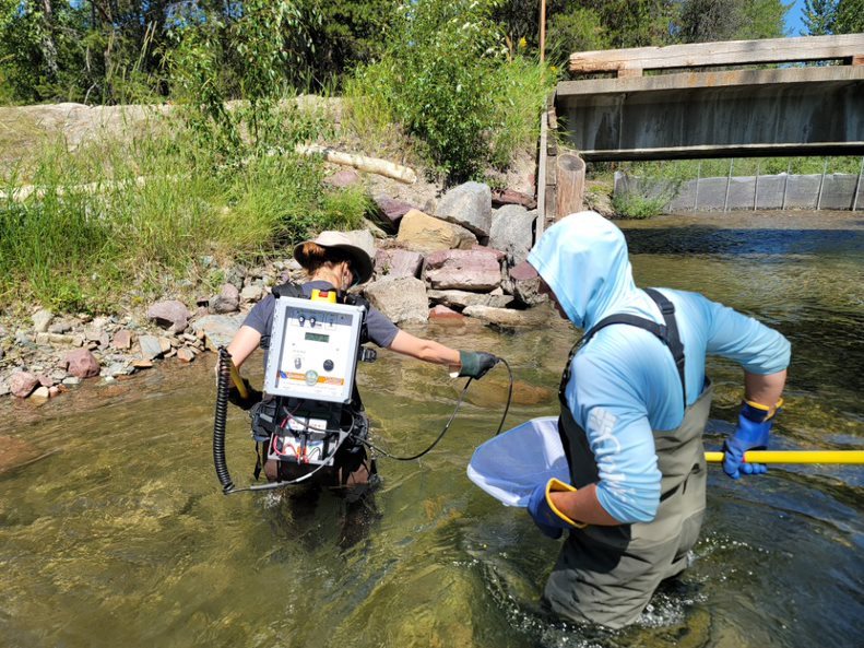 People in a river electrofishing