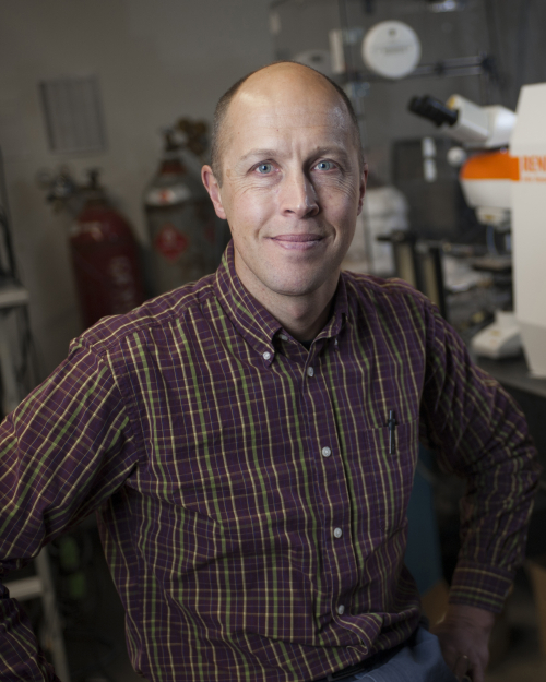 Picture of Rob Walker