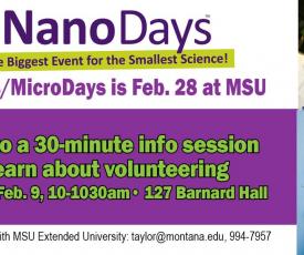 NanoDays image