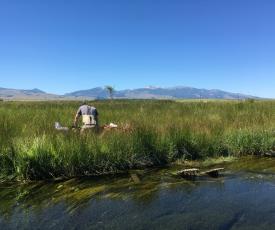 A person works along the banks of the Upper Clark Fork River