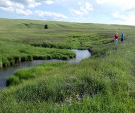 A stream running through a CREWS-JRW field site