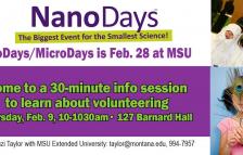 NanoDays image