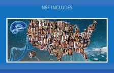 NSF image