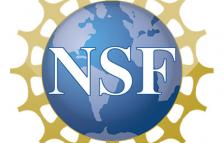 NSF