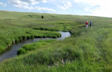 A stream running through a CREWS-JRW field site