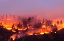 University of Montana photo