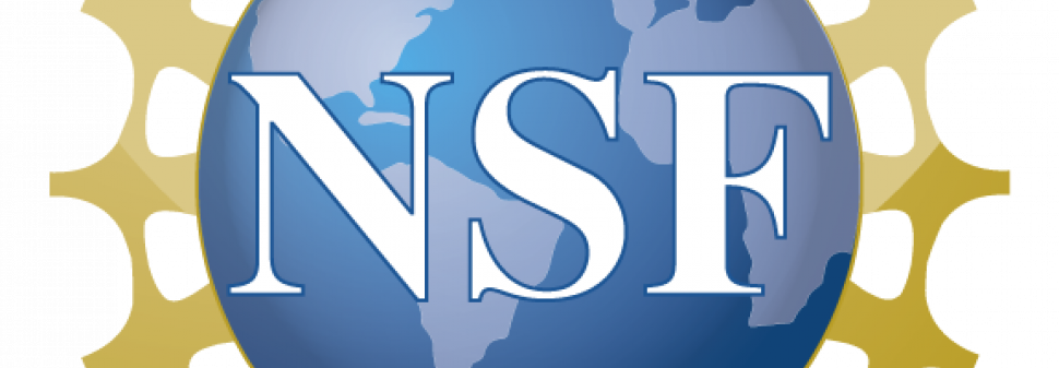 National Science Foundation logo