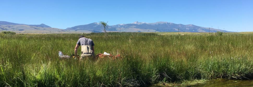 A person works along the banks of the Upper Clark Fork River