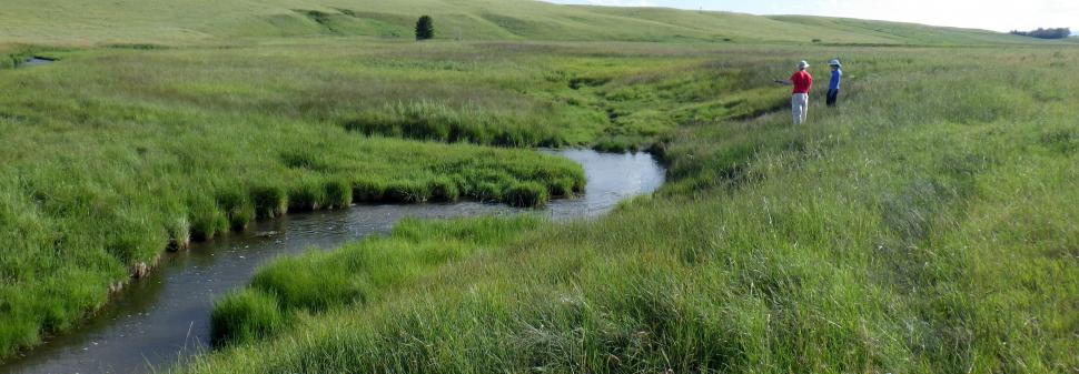 A stream running through a CREWS-JRW field site