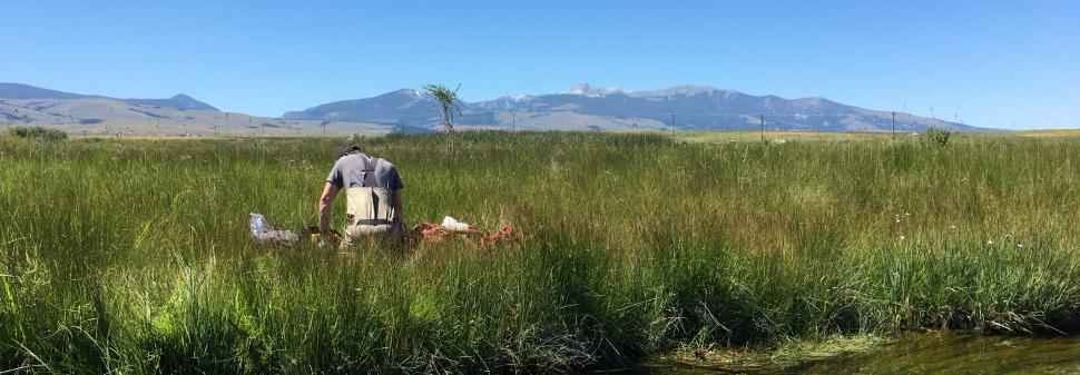 A person works along the banks of the Upper Clark Fork River