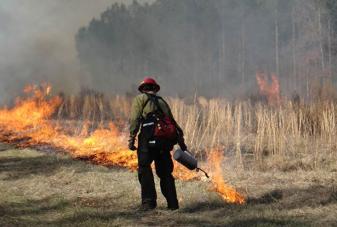 UM photo: Prescribed Fire