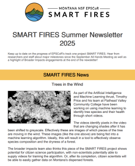 First Page of the Newsletter