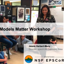 Screenshot of Role Models Matter training
