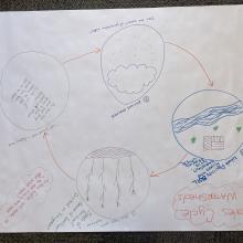Diagram of a nutrient cycle