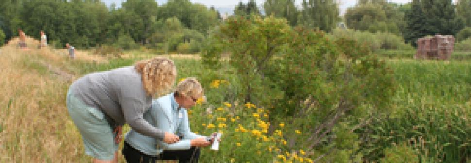 Twelve Montana K-12 Teachers Participate in GPS/GIS Workshop