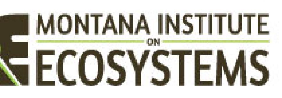 IoE Summer Interns Take on Climate Change Research in Montana