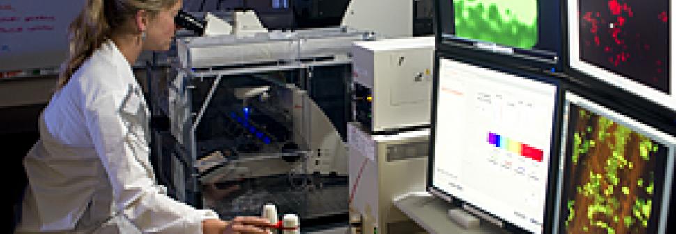 Montana State University Breaks Record for Research Dollars in 2011