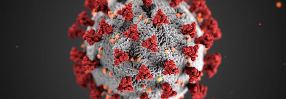 CDC image