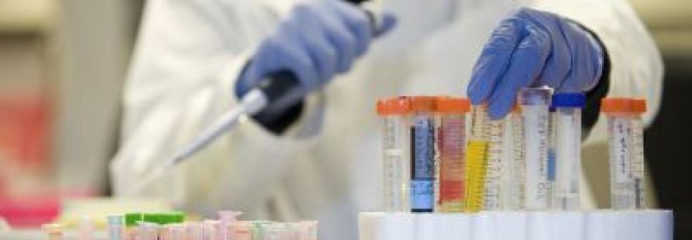 A picture of a researcher working in the lab