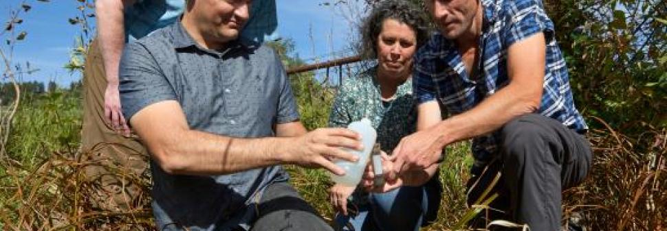 Montana State University researchers, from left, Rob Payn, Tony Bertagnolli, Stephanie Ewing and Frank Stewart. The group has received funding from the Department of Energy to study organisms that process nitrogen and produce oxygen along waterways. MSU photo by Colter Peterson.
