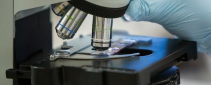 MSU photo by Adrian Sanchez-Gonzalez