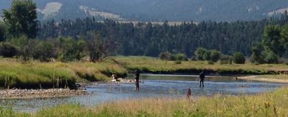 Sampling on the Upper Clark Fork River