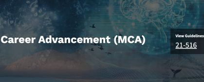 A picture from the NSF Mid-Career Advancement webpage