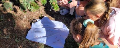 Middle Schoolers looking for insects on a beating sheet
