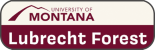 University of Montana Lubrecht Forest