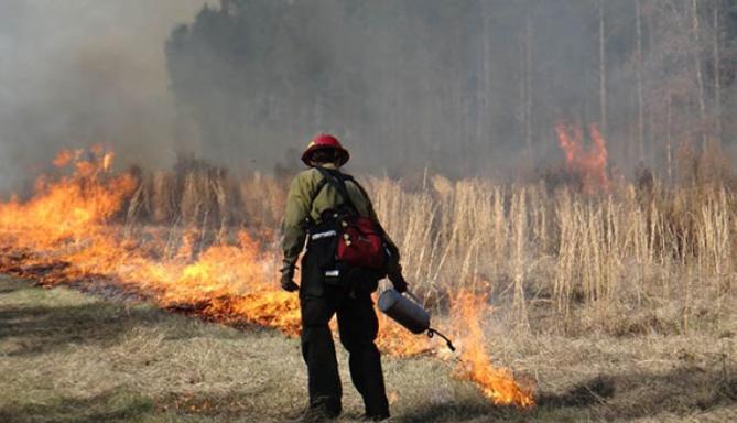 UM photo: Prescribed Fire