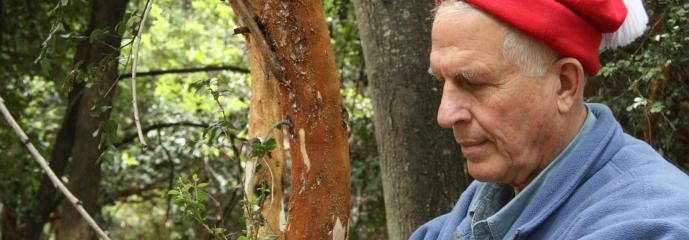 Gary Strobel found diesel-producing fungus in this Patagonia rainforest. (Photo courtesy of Gary Strobel) - MSU News Service